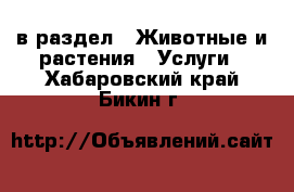  в раздел : Животные и растения » Услуги . Хабаровский край,Бикин г.